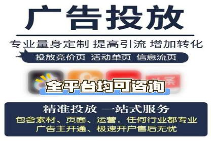 竞价托管sem的胜利果实：某零售商的营销策略